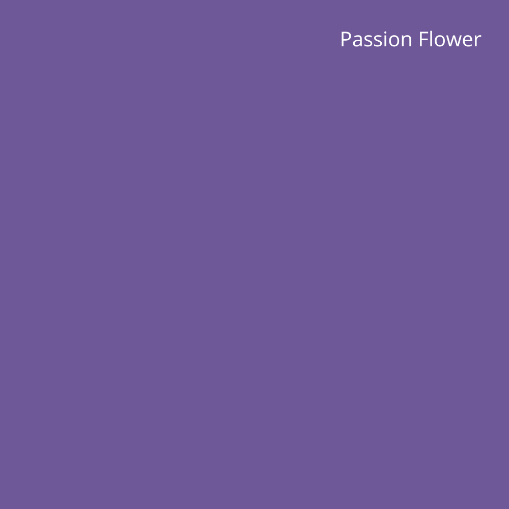 Sophisticated Solids - Passion Flower